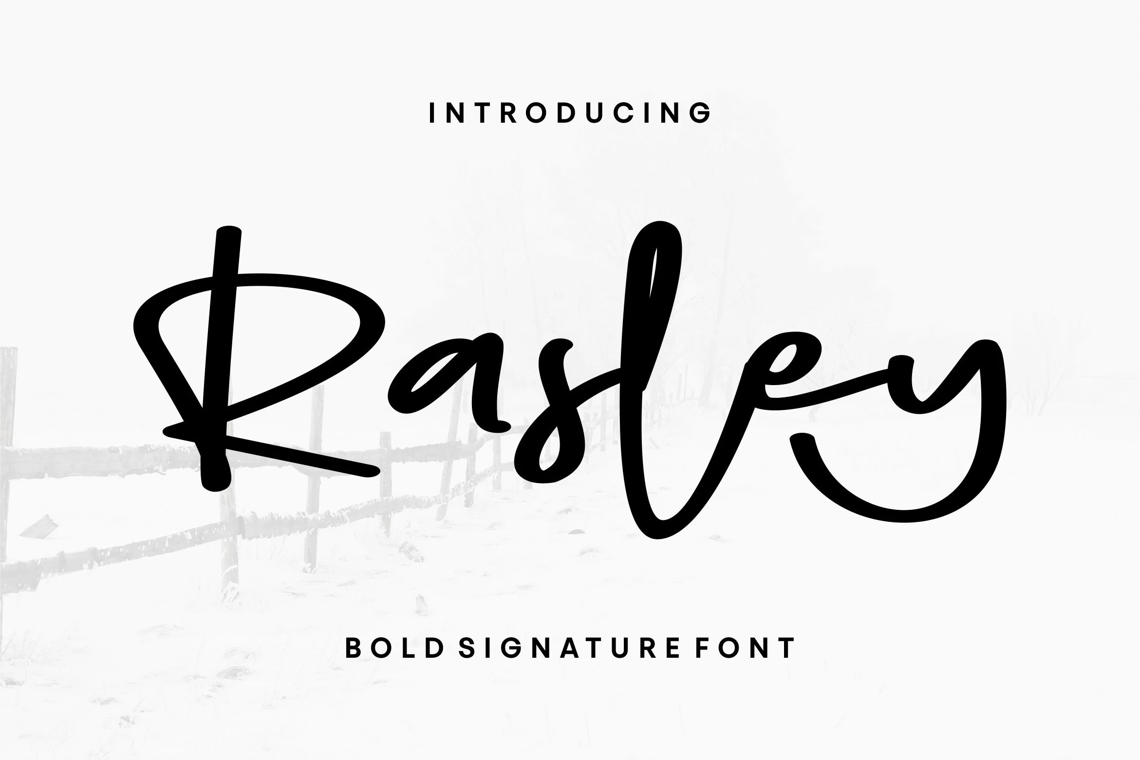 Rasley Font preview showing bold black signature script with thick strokes and oversized looping letters