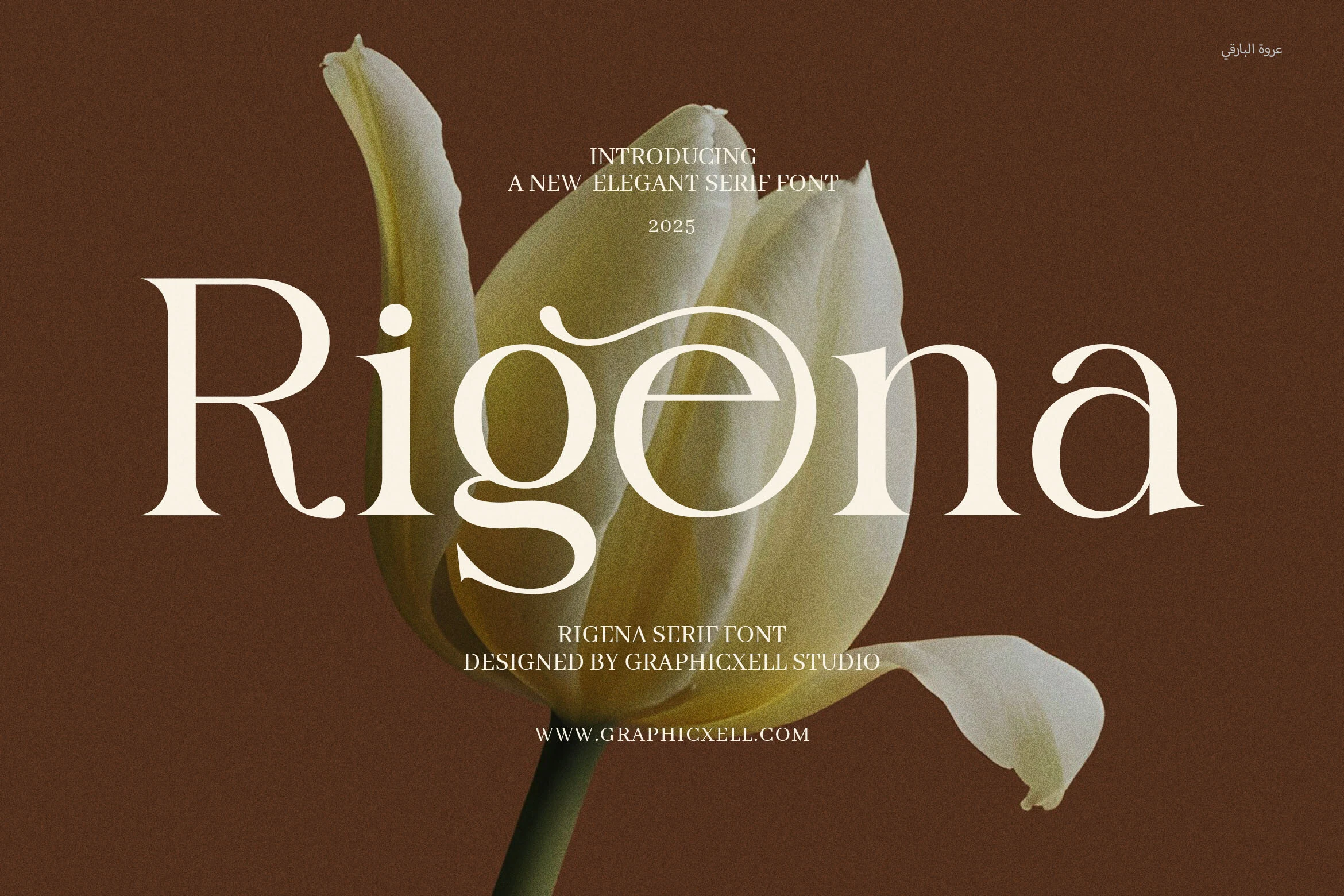 Rigena Font preview with cream high-contrast serif lettering and subtle swash details
