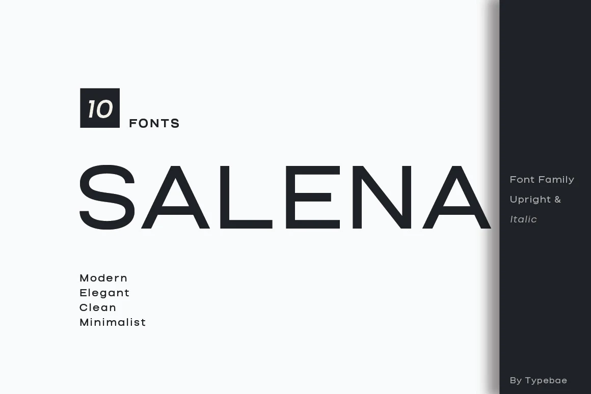Salena Font preview with clean uppercase sans serif lettering and elegant minimalist style