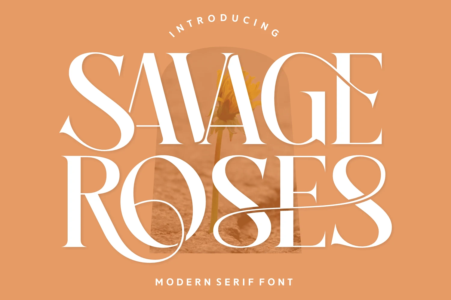 Savage Roses Font preview showing bold white serif lettering with dramatic swashes