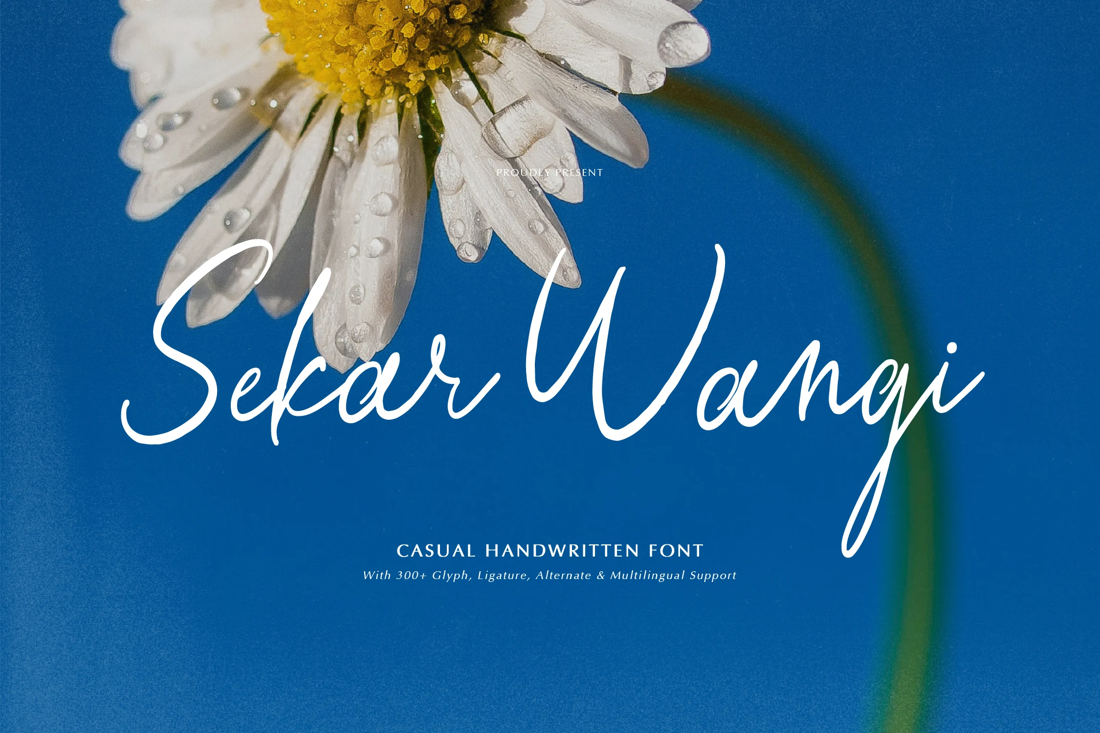 Sekar Wangi Font preview with thin white casual handwritten script and long looping strokes