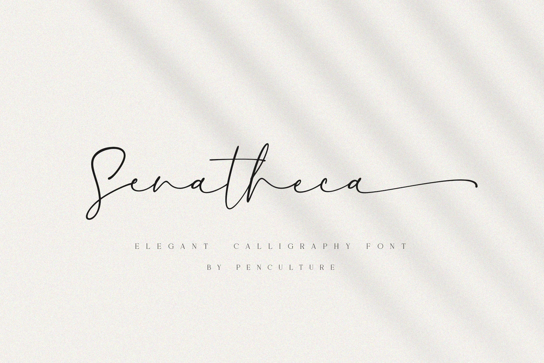 Senatheca Font preview in thin black signature-style calligraphy with a long trailing swash