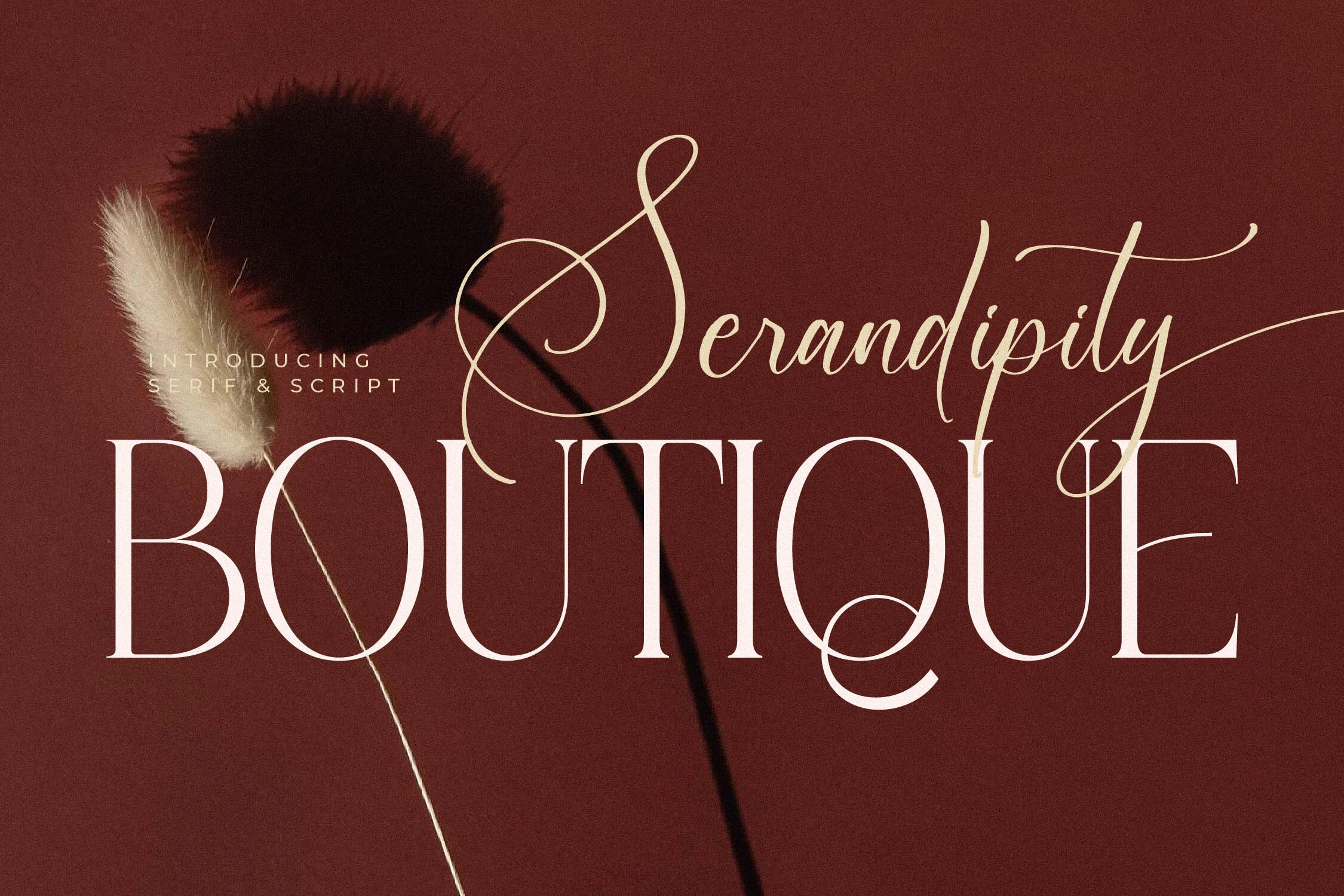 Serandipity Boutique Font preview with tall serif lettering and delicate script swashes