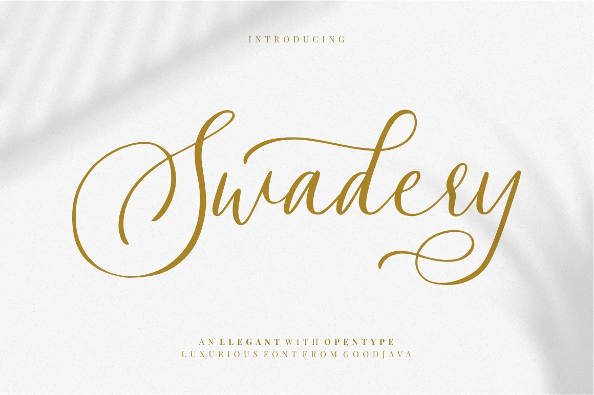 Swadery Font preview in golden elegant script with a looping capital S and swashed final y