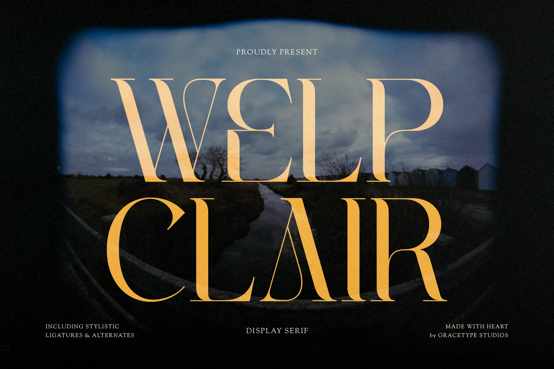 Welp Clair Font preview with golden high-contrast display serif lettering and sweeping terminals