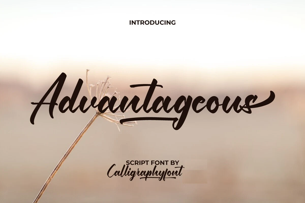 Advantageous font preview
