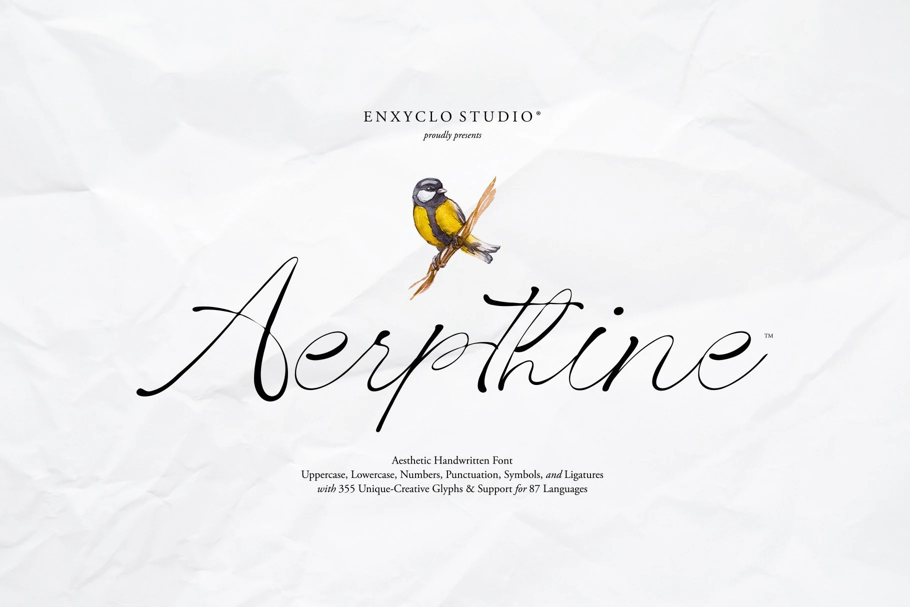 Aerpthine Font featuring connected cursive letterforms, high stroke contrast, and decorative sweeping flourishes.