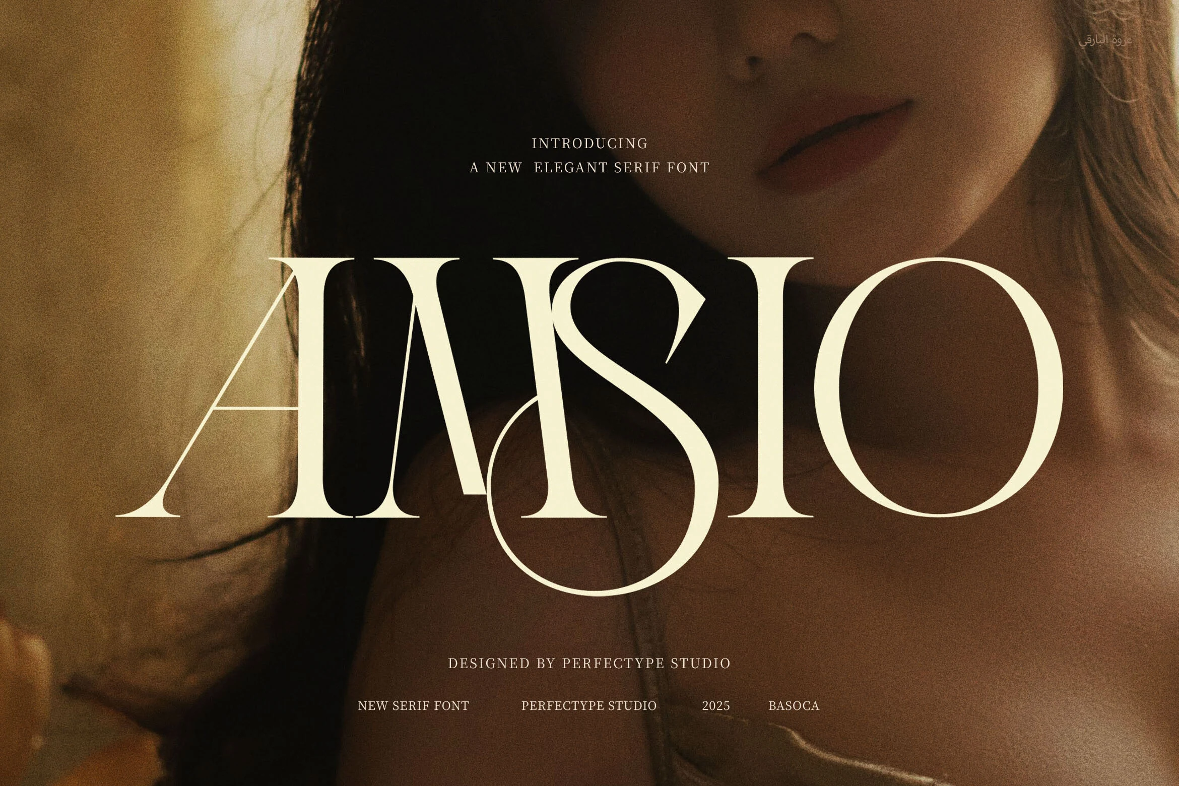 Amsio Elegant Serif Font with high-contrast strokes, sharp pointed serifs, and wide open letterforms.