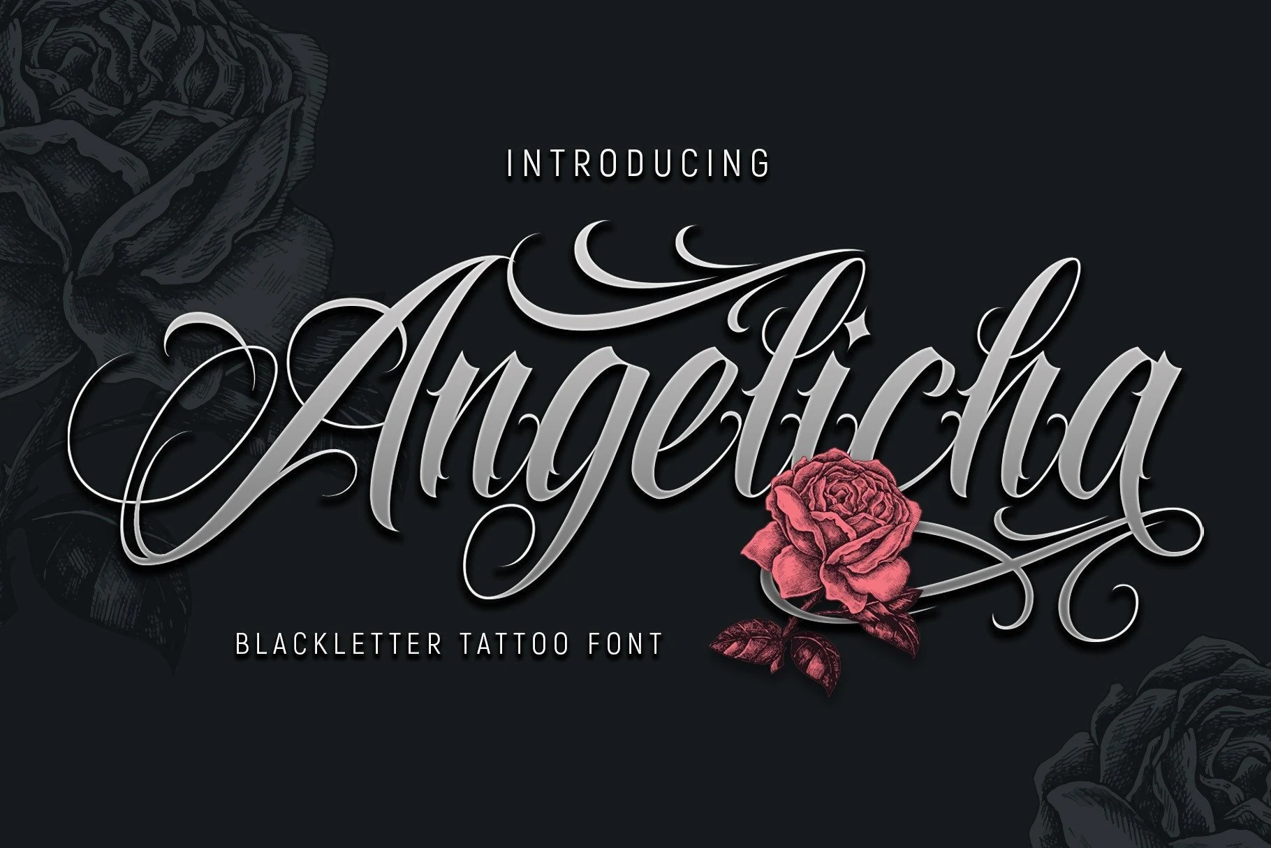 Angelicha Font features ornate calligraphic blackletter letters with high contrast, connected forms, and sweeping flourishes.