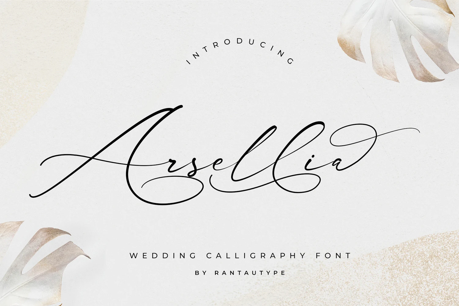 Arsellia Font displayed as connected, right-slanted calligraphy with high stroke contrast and elaborate flourishes.