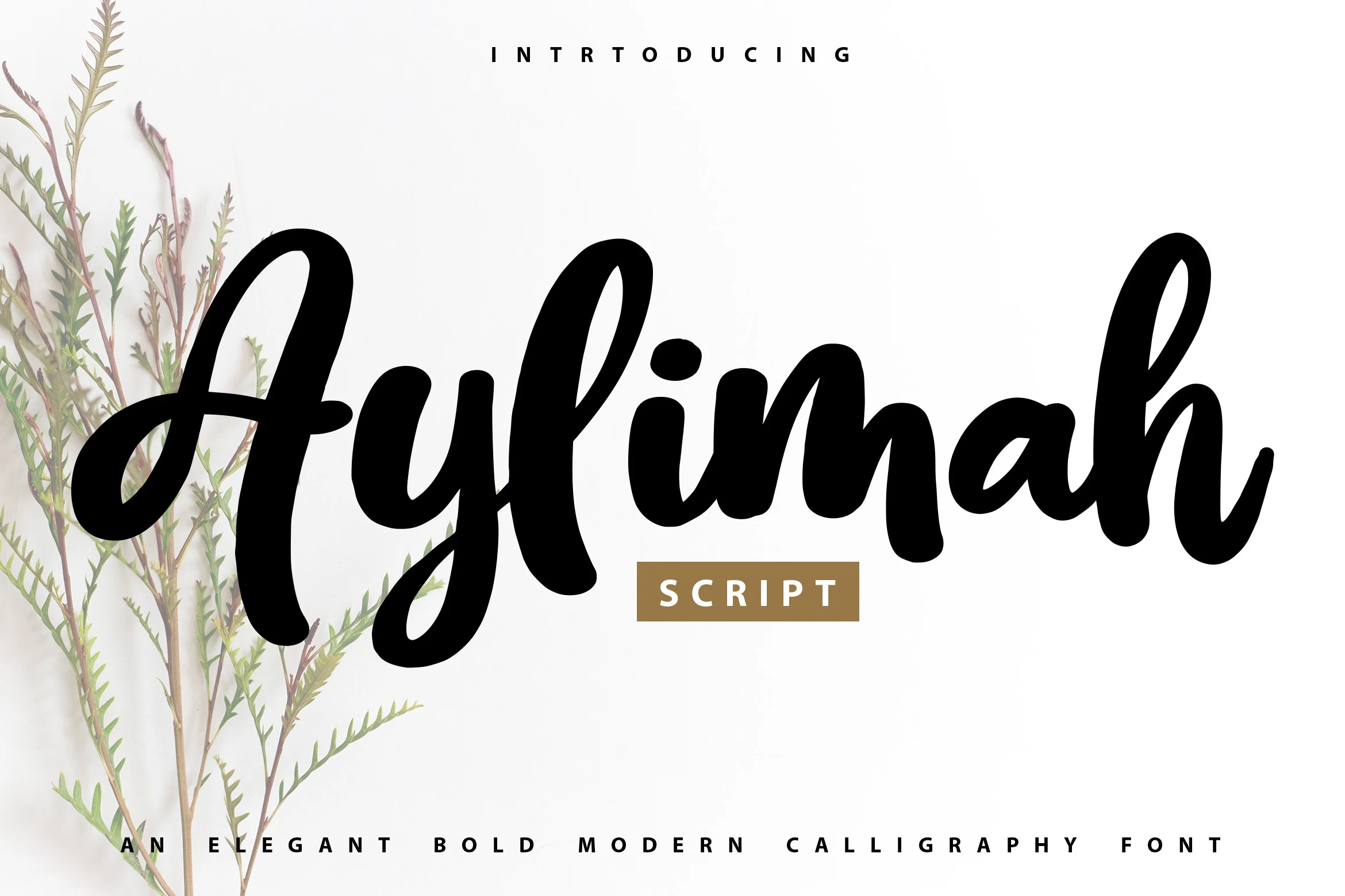 Aylimah Font shown in a bold, connected script with rounded terminals and consistent strokes.