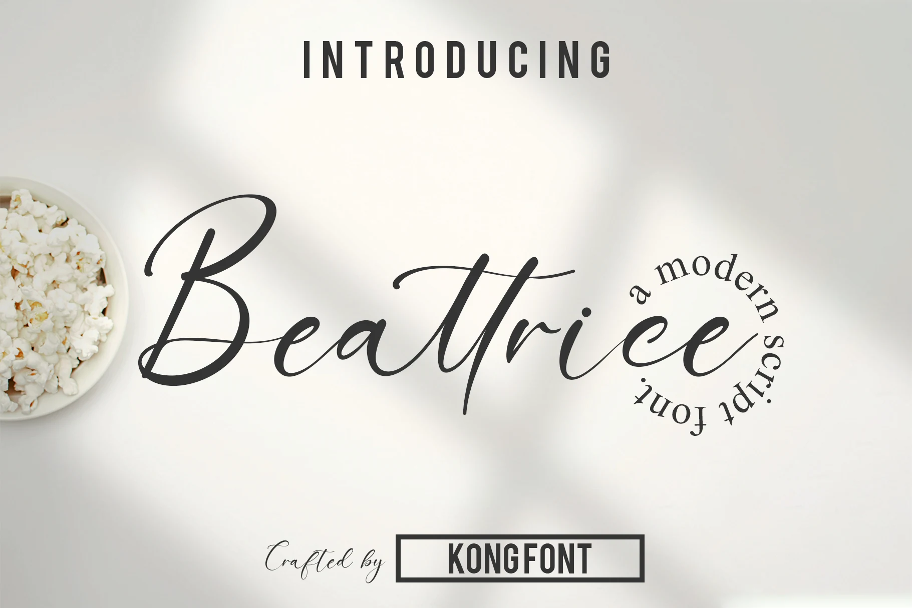 Beattrice Font is a high-contrast connected script with sweeping swashes and decorative terminals.