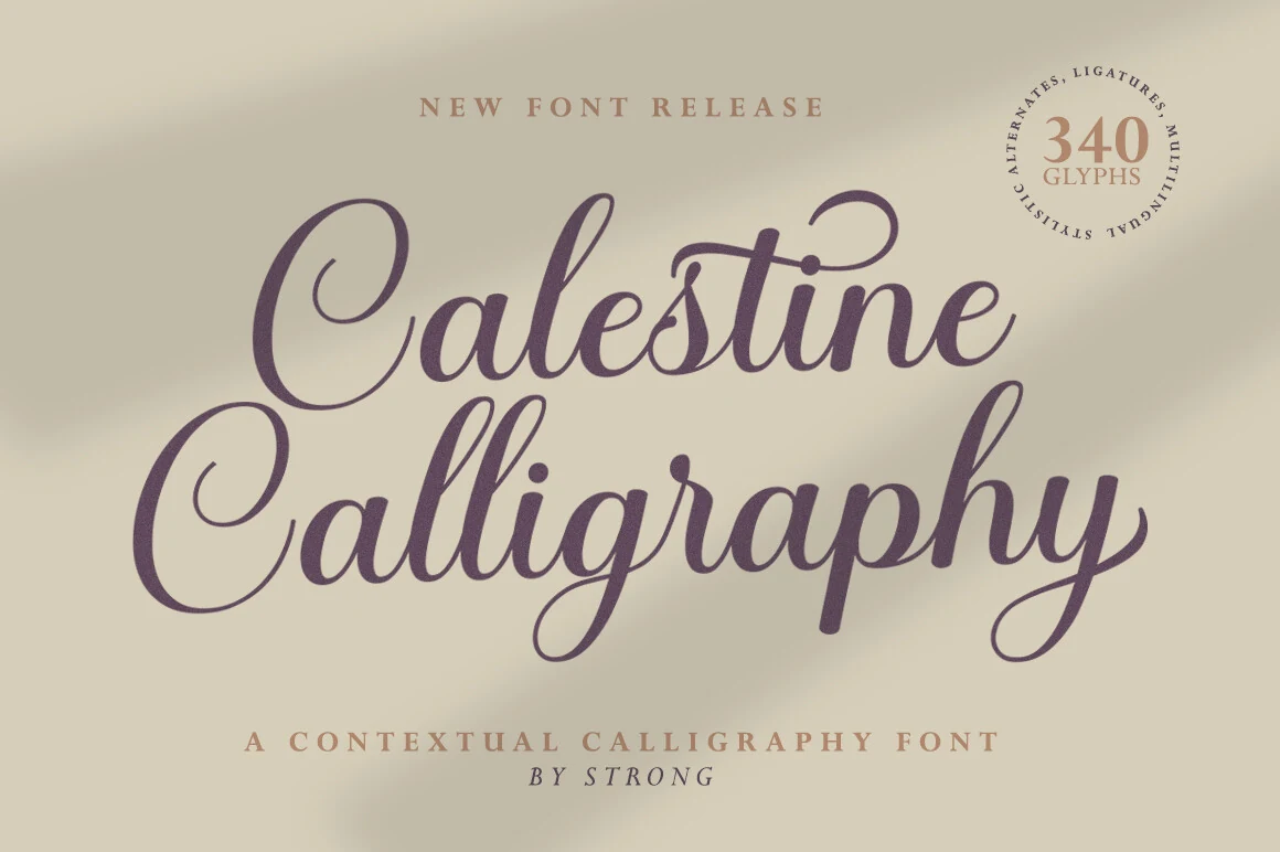 Calestine Calligraphy Font with connected cursive letters, high stroke contrast, and sweeping terminal flourishes.