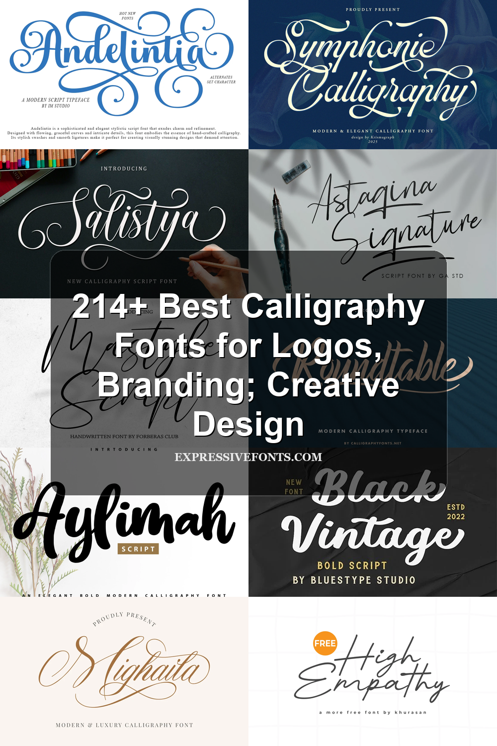 214+ Calligraphy Fonts collection preview