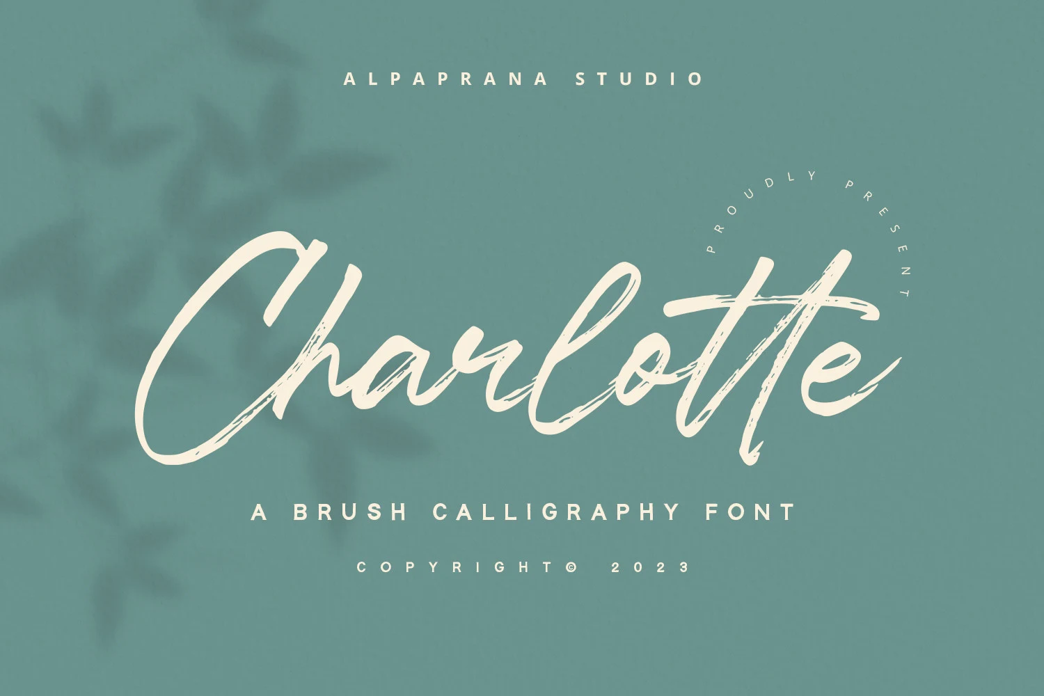 Charlotte Font displayed as a connected, right-leaning brush script with dry-textured edges and high stroke contrast.