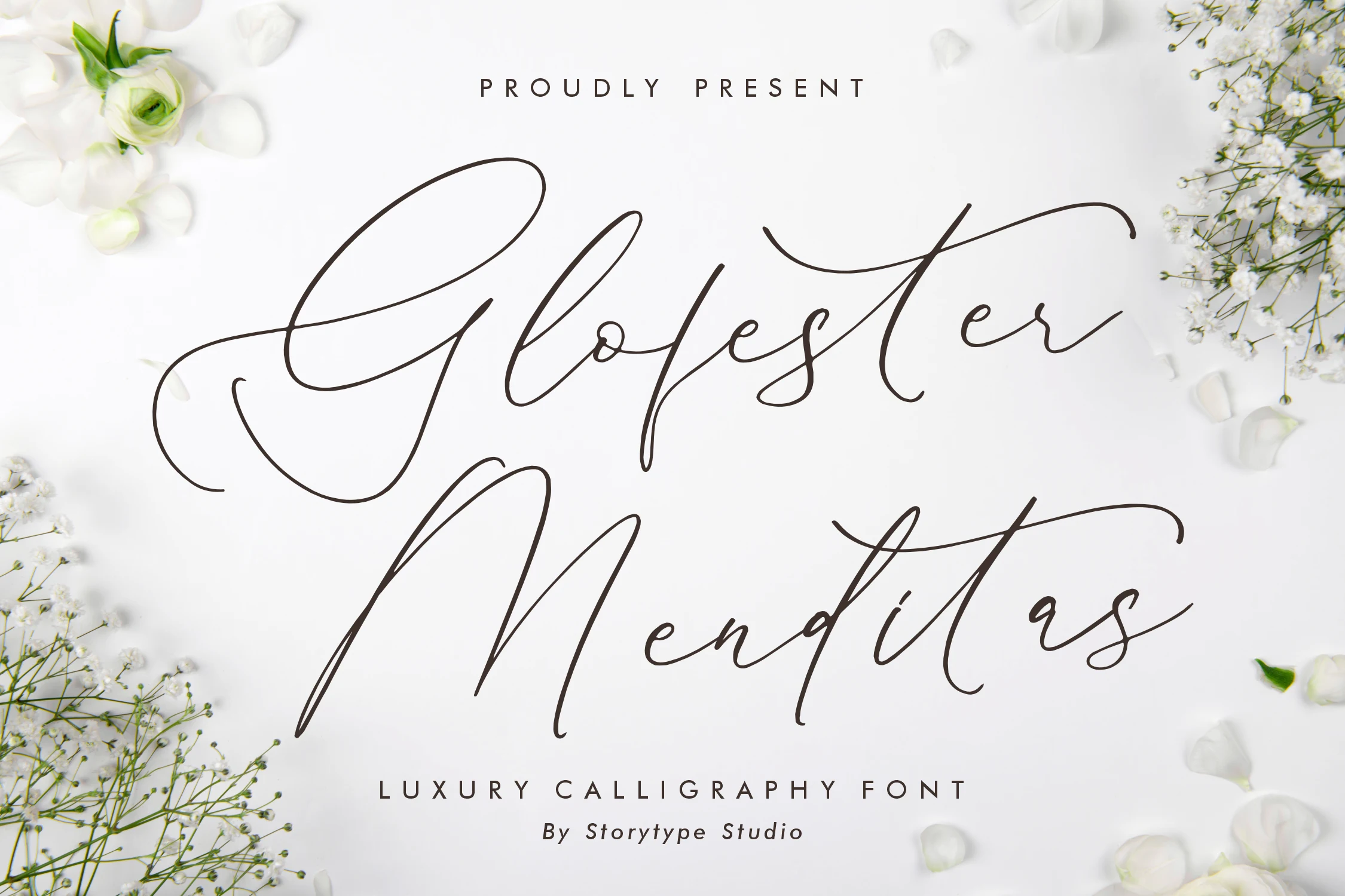 Glofester Menditas Font featuring High-contrast strokes and Connected cursive letterforms