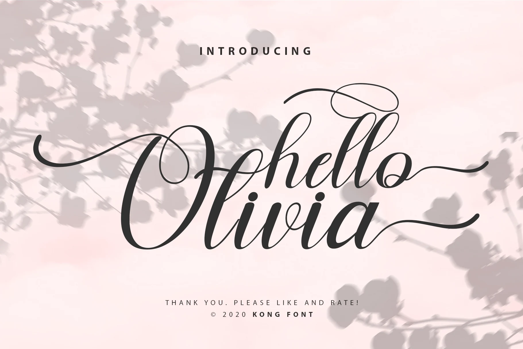 Hello Olivia Font is a connected calligraphy script with high-contrast strokes, flowing loops, and extended swashes.