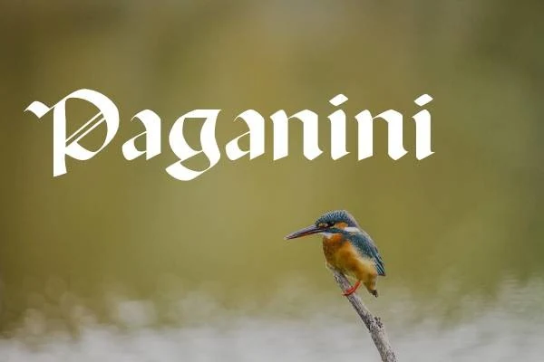 Paganini Font displayed in a bold blackletter style with high stroke contrast, pointed terminals, and dense vertical stems.