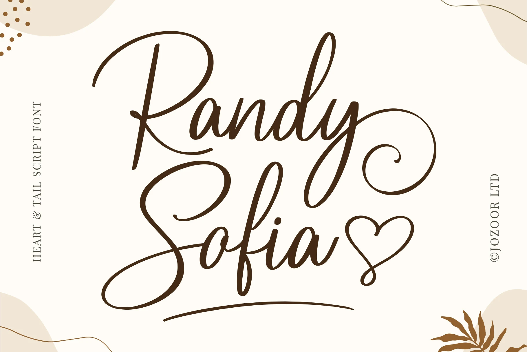 Randy Sofia Font showing flowing handwritten movement, connected letterforms, and expressive display shapes