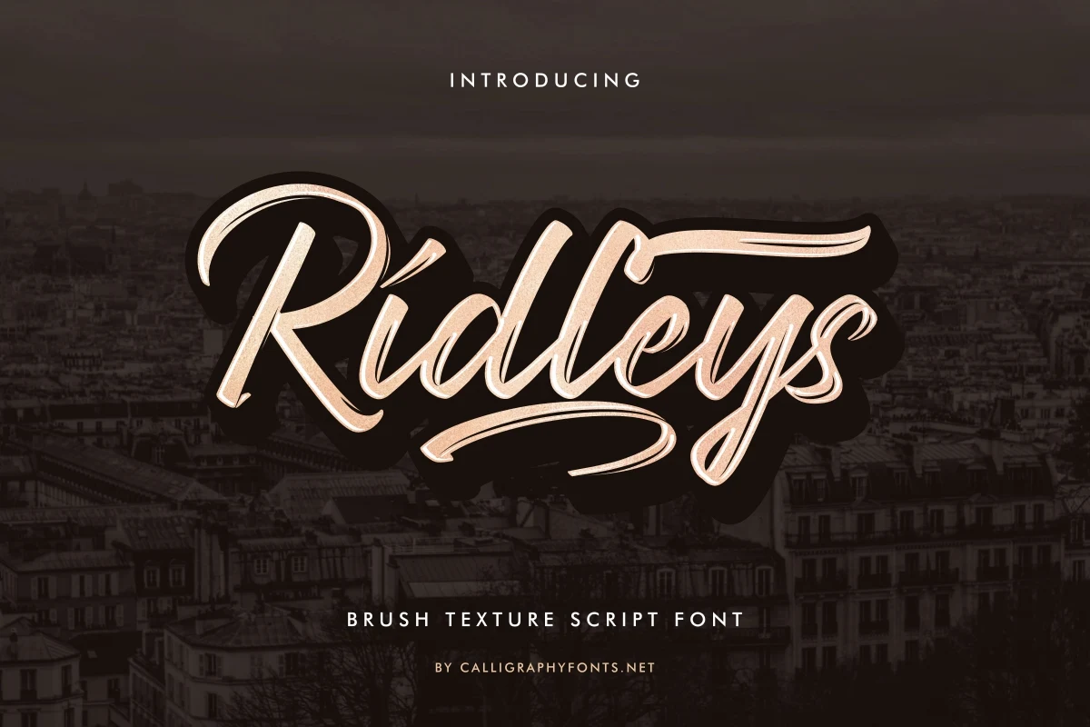 Ridleys Font displaying connected, right-slanted brush script letterforms with high contrast and sweeping flourishes.
