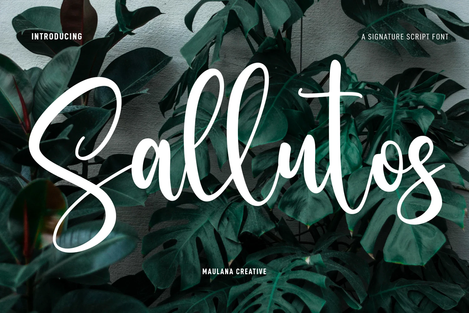 Sallutos font preview