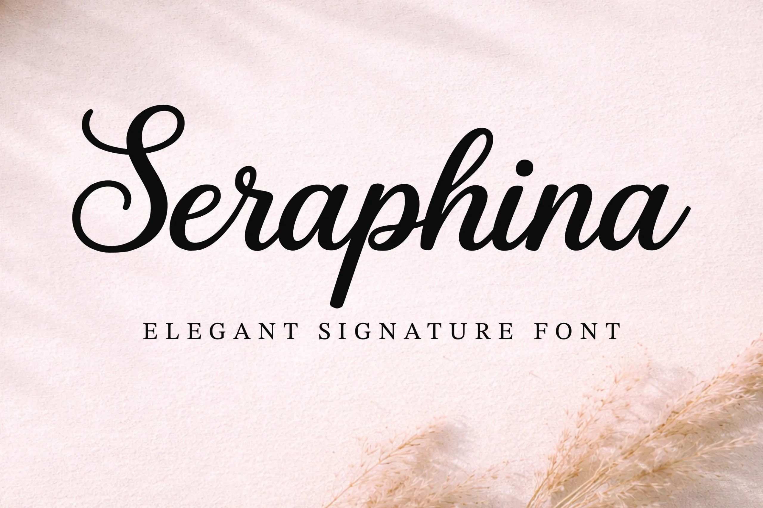 Seraphina Font displays connected script lettering with high stroke contrast, graceful loops, and a slight rightward slant.