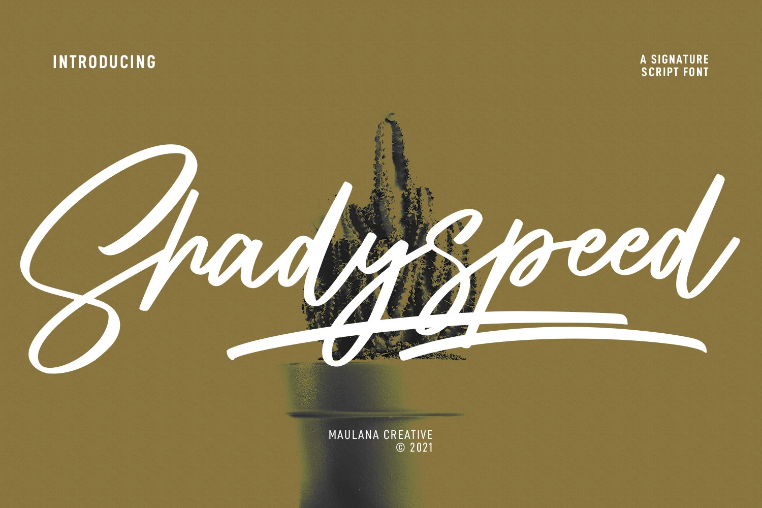 Shadyspeed Script Font features connected cursive letters, high-contrast brush-like strokes, and an elongated baseline swash.