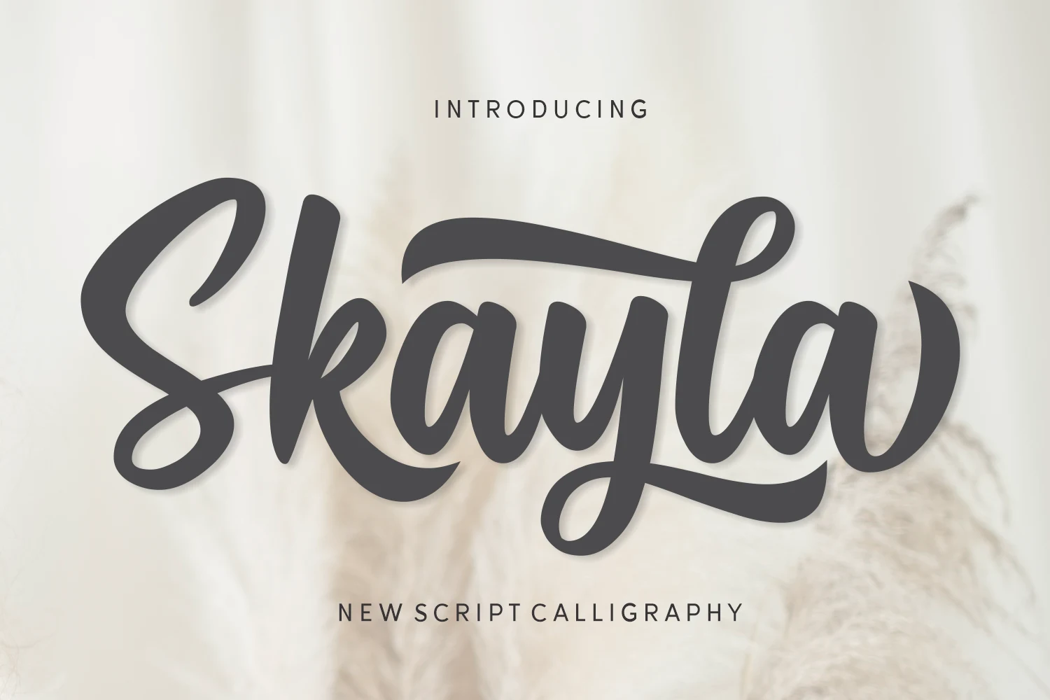 Skayla Font shown as a bold connected script with high stroke contrast and rounded flowing terminals.
