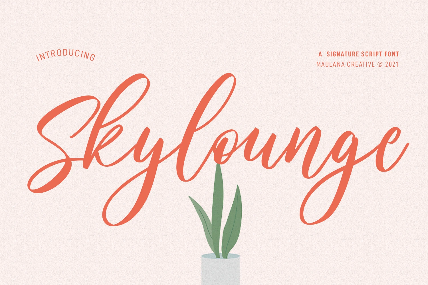 Skylounge Signature Script Font showing flowing handwritten movement, connected letterforms, and contrasting main strokes and details