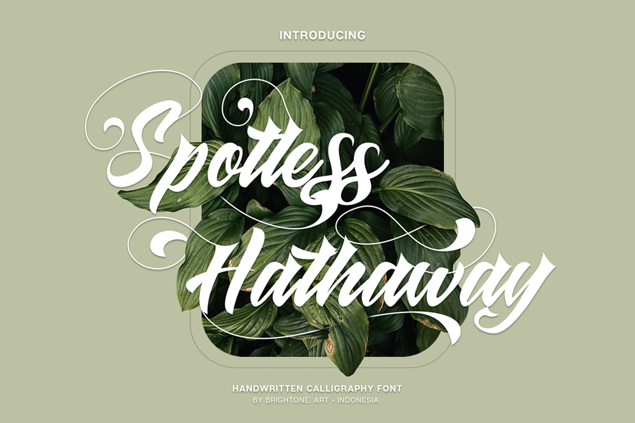 Spotless Hathaway Font features bold connected cursive lettering, a pronounced rightward slant, and sweeping decorative flourishes.