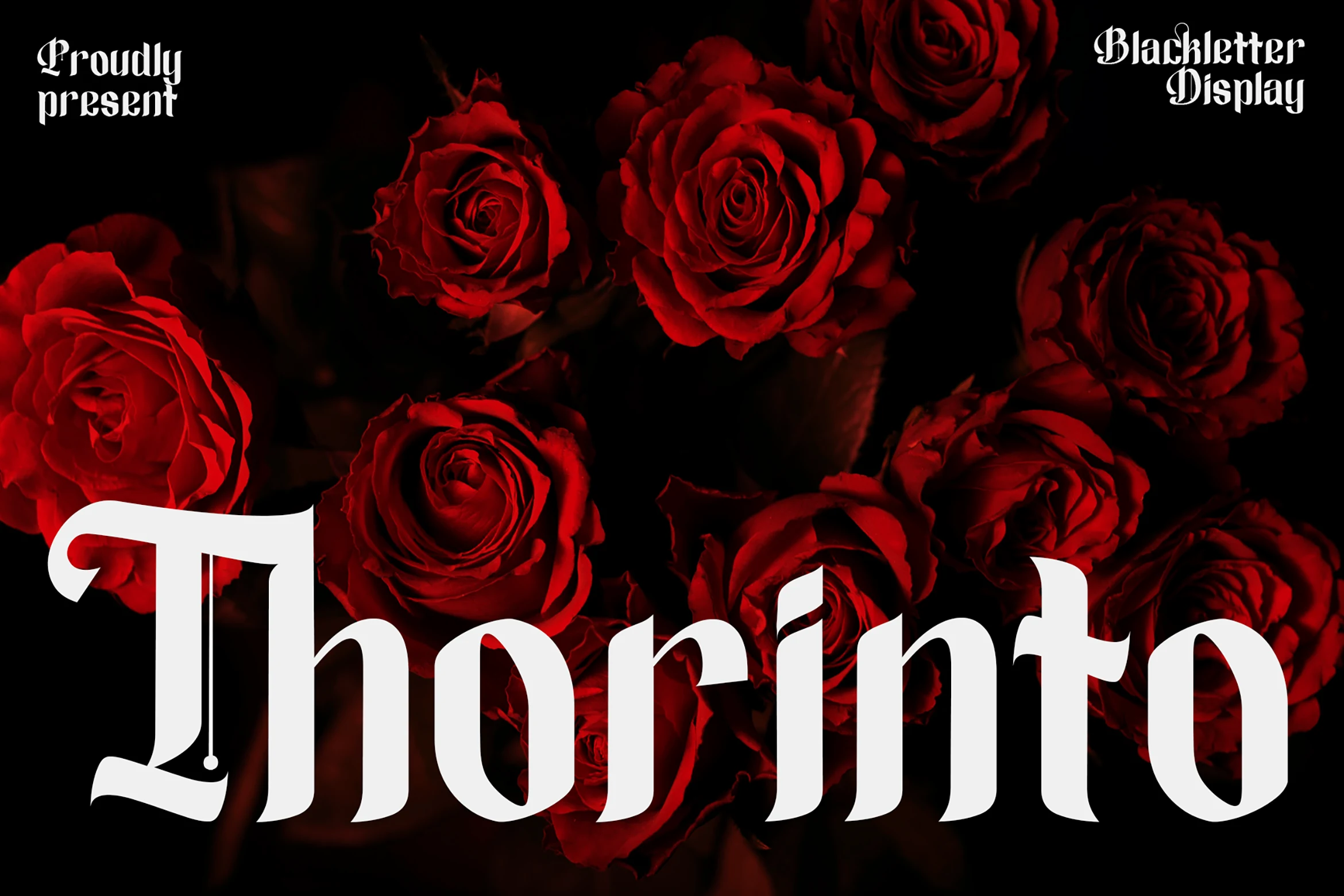 Thorinto Font displayed in bold blackletter lettering with sharp angular transitions, ornate terminals, and condensed forms.