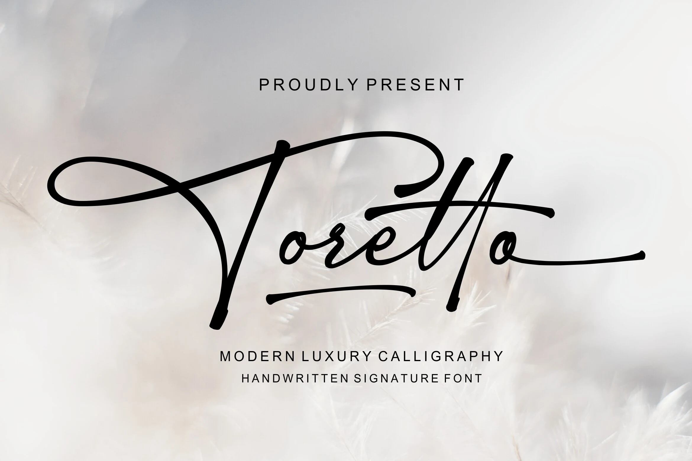 Toretto Font displayed as a flowing, high-contrast script with interconnected letters, tapered terminals, and a flourished initial capital T.
