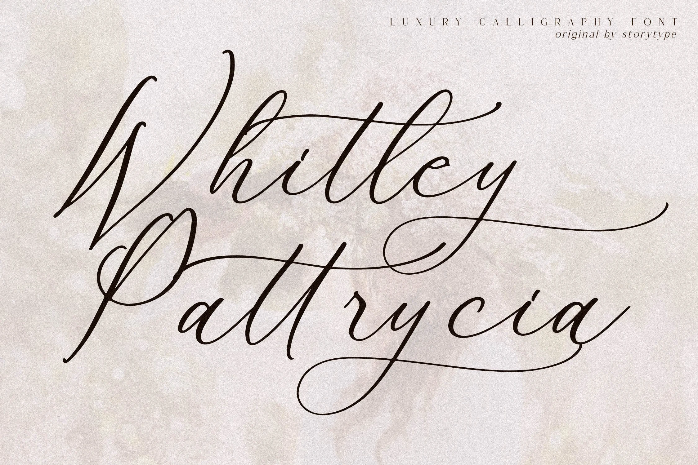 Whitley Pattrycia Font with connected cursive letterforms, high stroke contrast, and elongated decorative swashes.