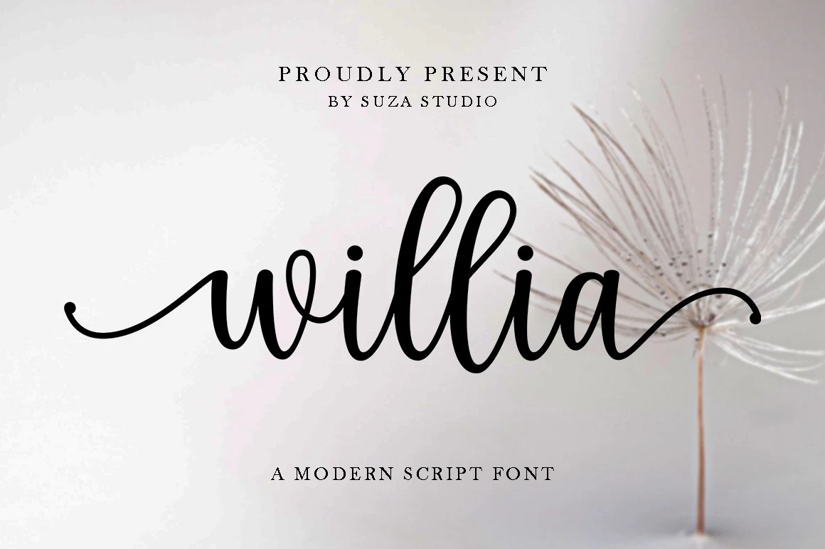 Willia Font features fluid, connected cursive lettering with high stroke contrast, a pronounced rightward slant, and elongated flourishes.