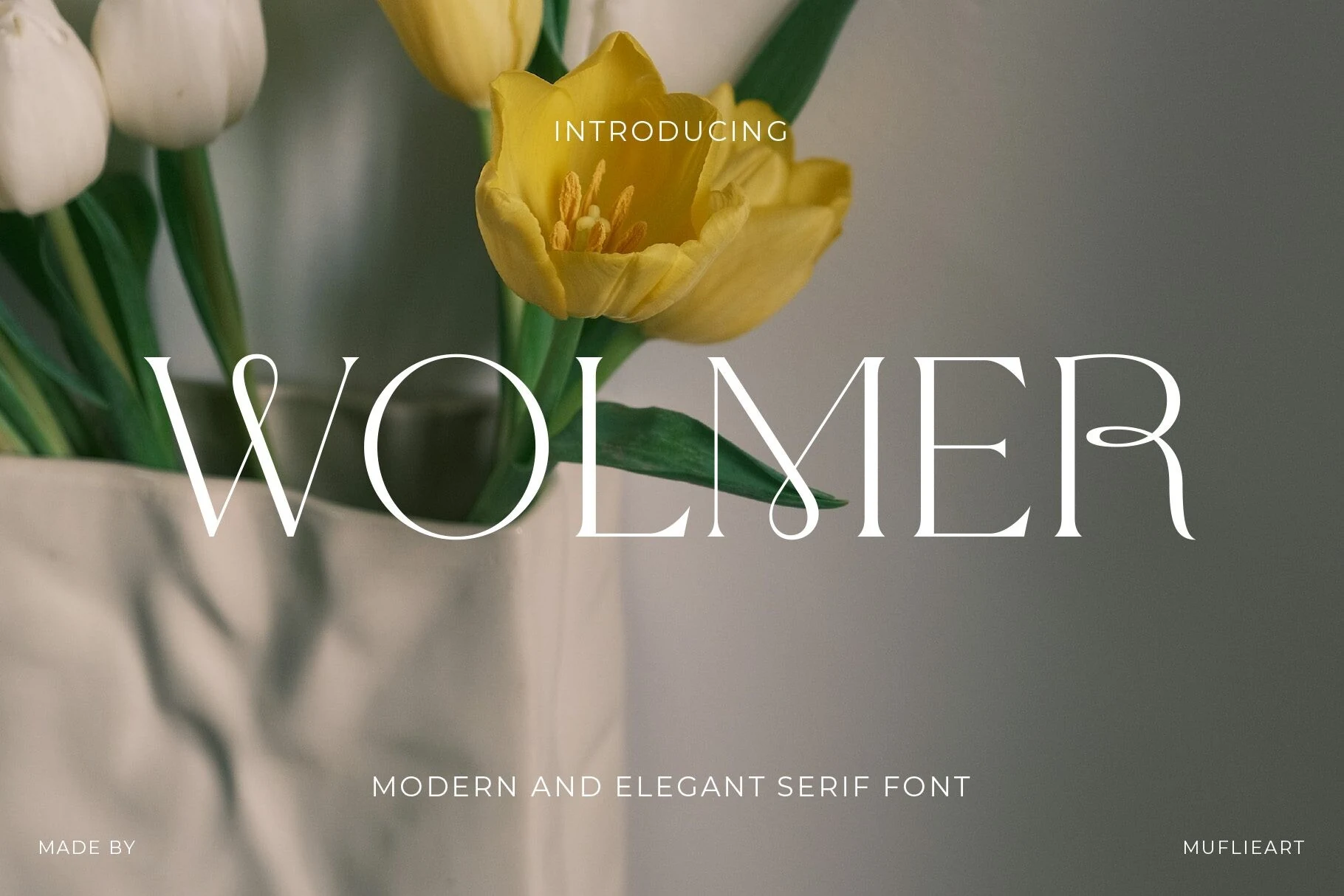 Wolmer font preview